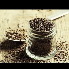 زیره کوهی اصل کشت ارگانیک بدون استفاده از سموم شیمیایی
